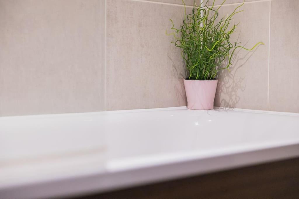 Cosy City Centre Apartment With Parking 버밍엄 외부 사진