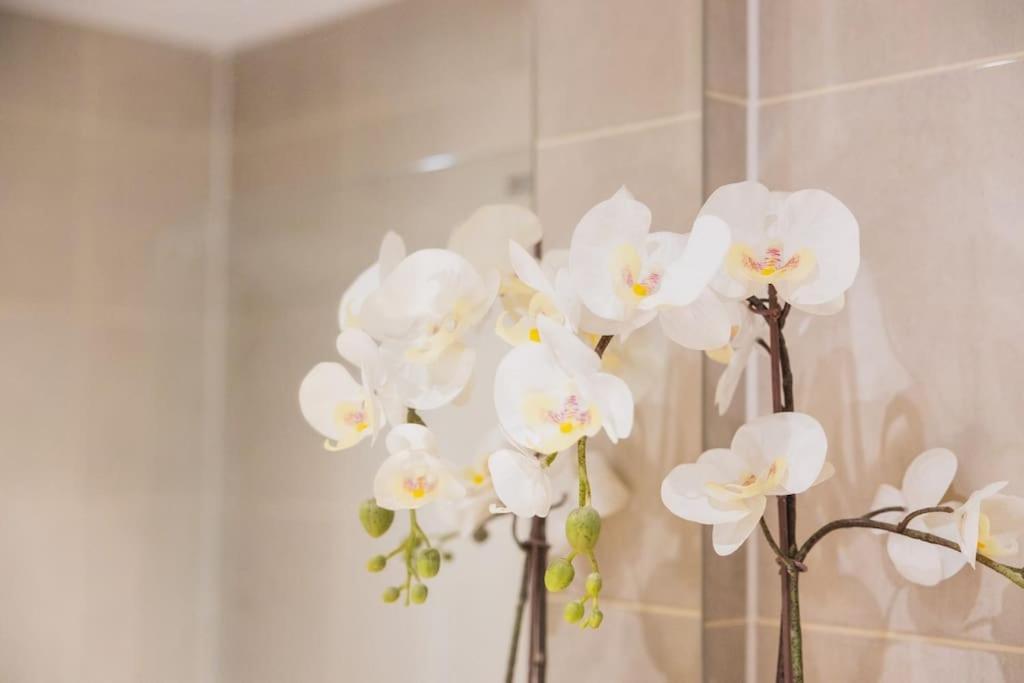 Cosy City Centre Apartment With Parking 버밍엄 외부 사진